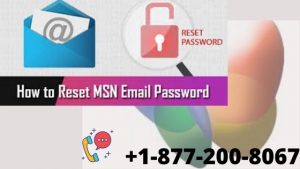 Reset MSN Password
