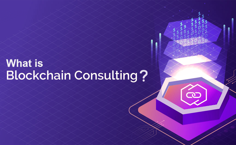 What do you understand by blockchain consultants