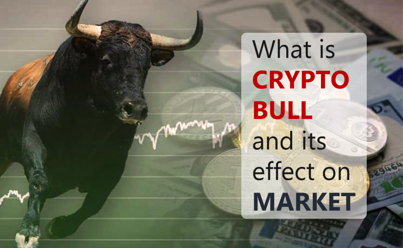 Crypto bull