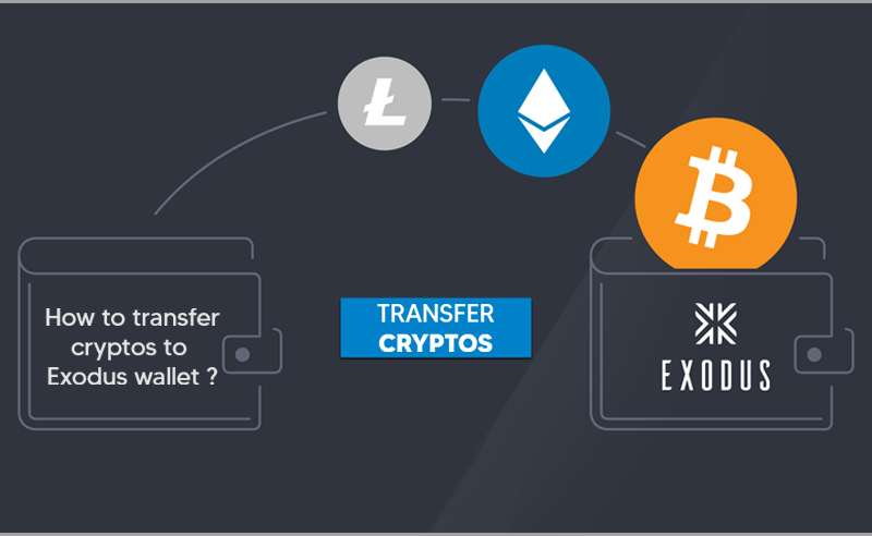 How to Send Cryptos To Exodus Wallet