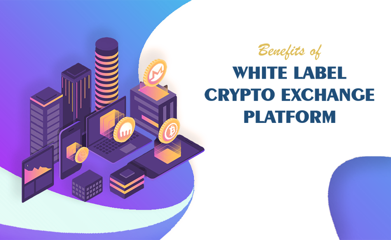 Benefits of white label crypto exchange platform