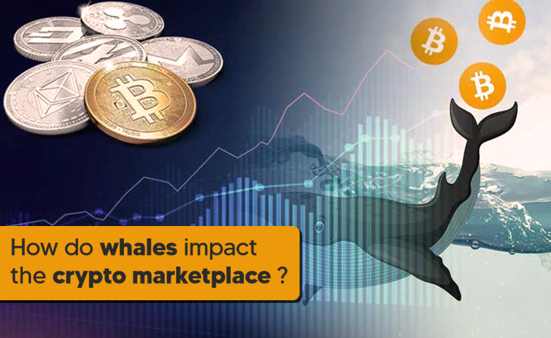 How do whales impact the crypto market