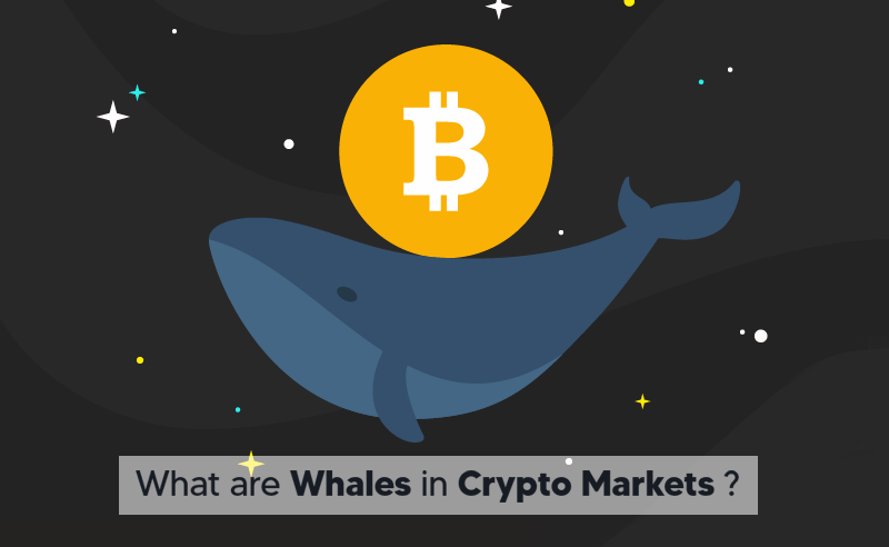 What are whales in crypto markets