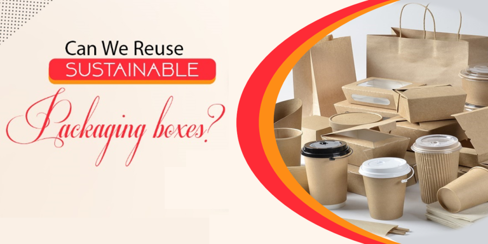 Can We Reuse Sustainable packaging boxes?