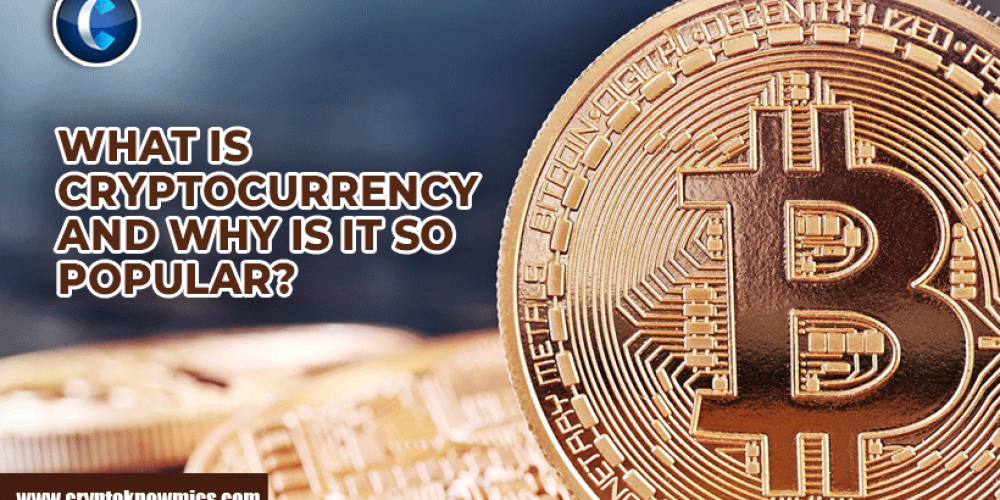 What is Cryptocurrency and why is it so Popular?