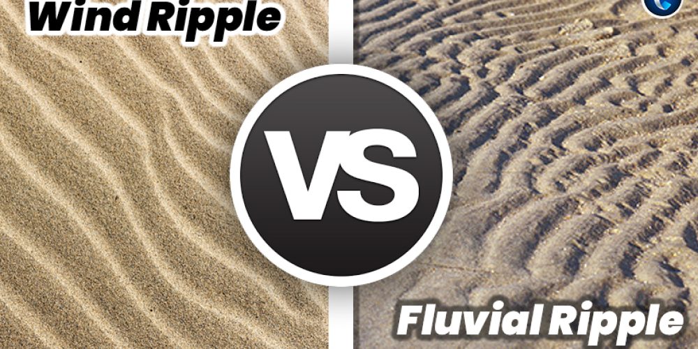 Wind Ripple vs Fluvial Ripple: Everything You Need to Know