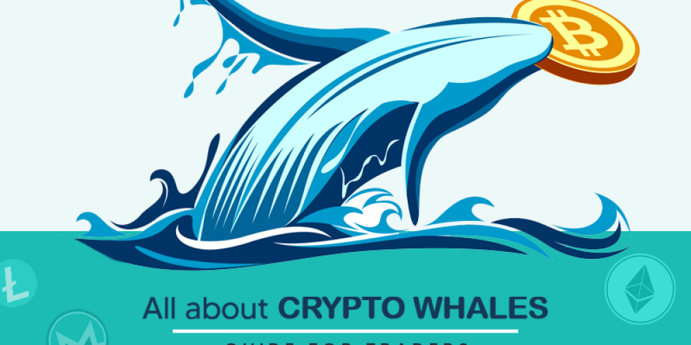 All About Bitcoin Whale | Eye Opening Guide To Crypto Traders