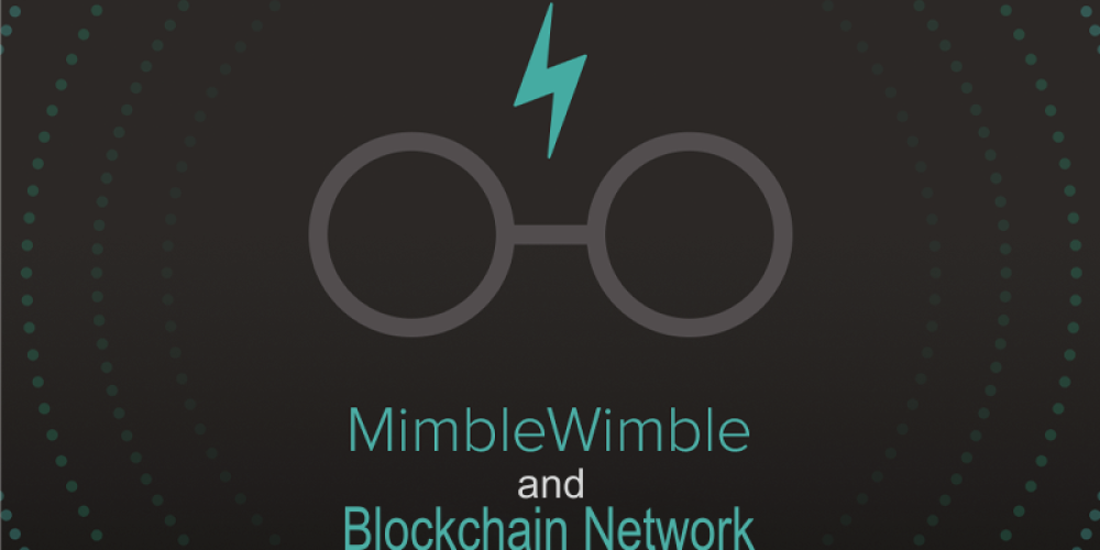 MimbleWimble And Blockchain Networks | Analyzing Impacts