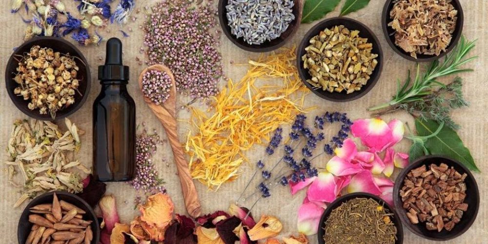 6 Ayurvedic herbs to protect your body in winter